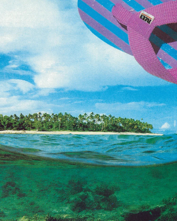 Four Decades of Reef