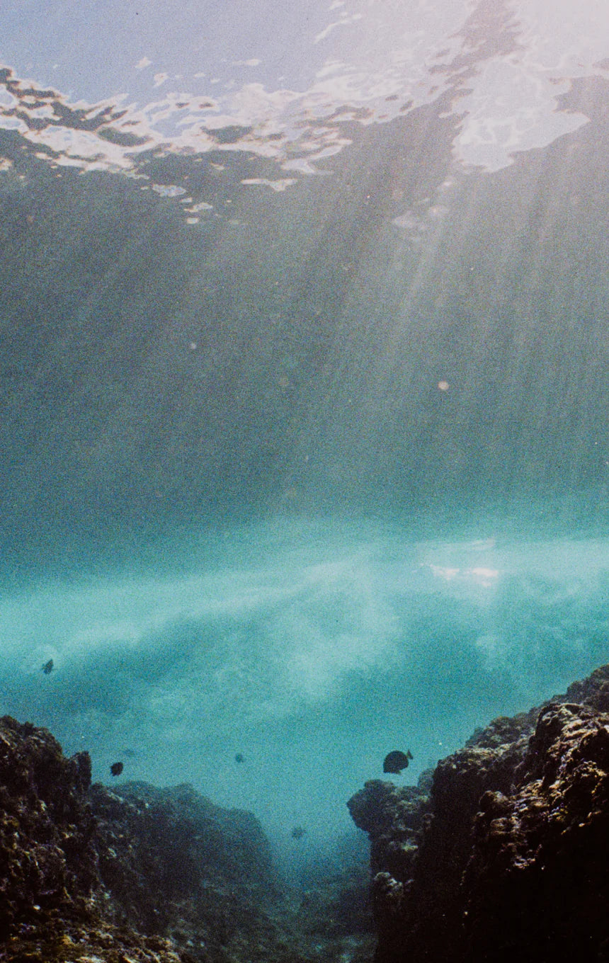 REEF X MegaLab