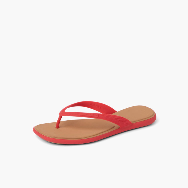 REEF WOMEN WATER WILLOW MALIBU HIBISCUS