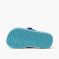 REEF KIDS LITTLE AHI ROYAL SHARKS