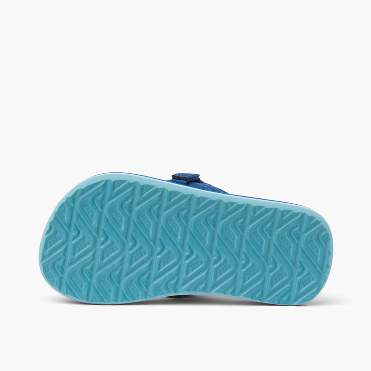 REEF KIDS LITTLE AHI ROYAL SHARKS