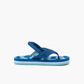 REEF KIDS LITTLE AHI ROYAL SHARKS