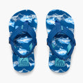 REEF KIDS LITTLE AHI ROYAL SHARKS