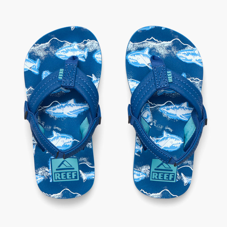 REEF KIDS LITTLE AHI ROYAL SHARKS