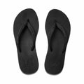 Reef Women GINGER BLACK/BLACK